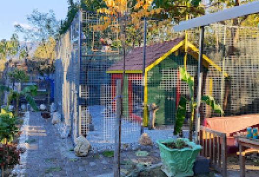 Villa e Cufes.景点图片