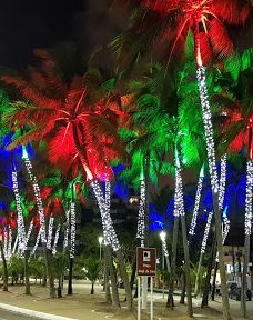 The Rhea Memorial-马塞约