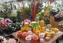 Tuincentrum Flora nv购物图片