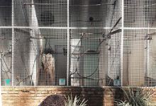 Instituto Pauxi Mitu景点图片