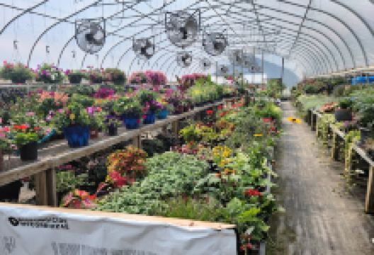 The Watering Can Garden Shop购物图片