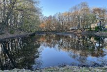 Yahn's Pond Playground景点图片