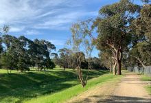 Waratah South Reserve景点图片