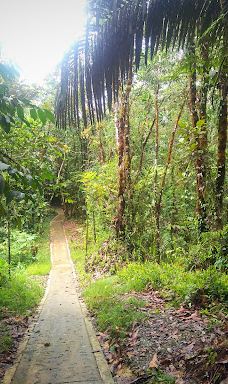 Sendero eco turístico de Tutunendo-图图嫩多