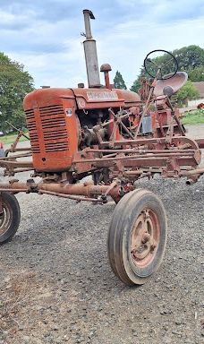 Davis Family Farm-本顿县