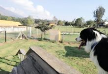 Guardería villanimals购物图片