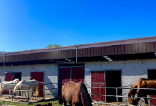 Quintinha Pedagógica de Canelas景点图片