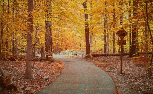Mason Neck State Park