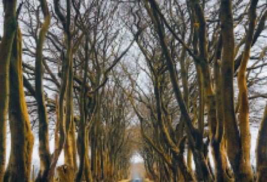 Hartfield Moss Thunderbolt Memorial景点图片