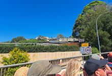 Bungaree Reserve景点图片