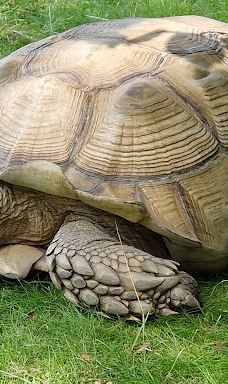 Öland Zoo and Amusement Park-默尔比隆阿