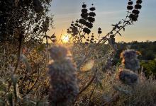 Caballero Canyon - Santa Monica Mountains Trail景点图片