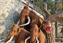 Dino Valley景点图片
