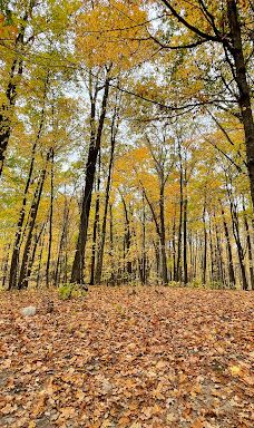 Kathio Observation Tower-米尔湖县
