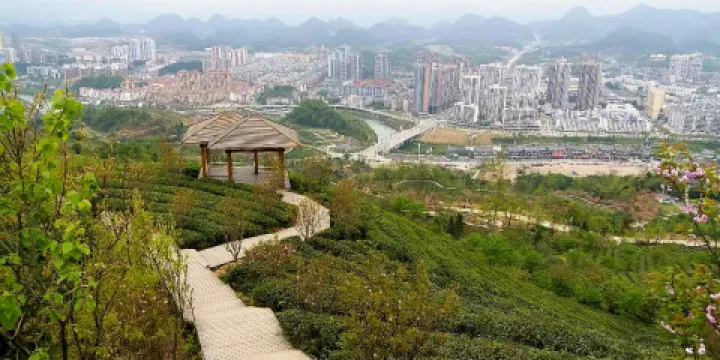 貴州湄潭象山茶博公園