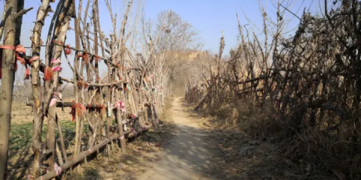 永厚陵文化遺址公園