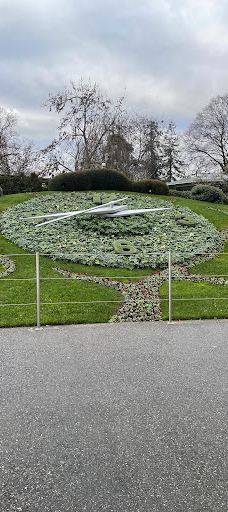 Flower Clock-库里提巴