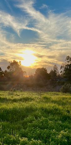 A Place to Play-圣罗莎