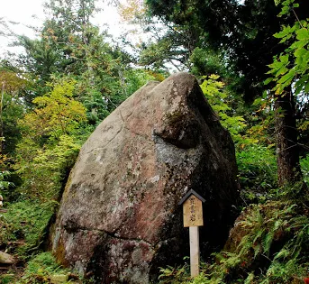 位山