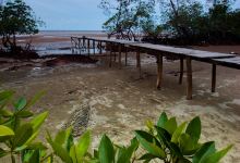 Pantai Indah Api Api景点图片