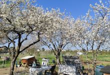 Jardins Familiaux de Quetigny景点图片
