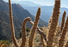 Pico Castillejos景点图片