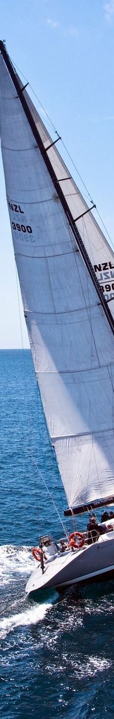 豪拉基湾-奥克兰