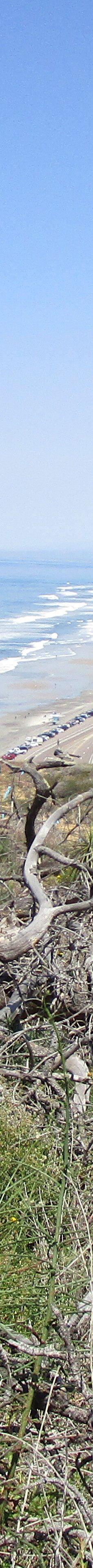 多利松国家自然保护区-佐拉