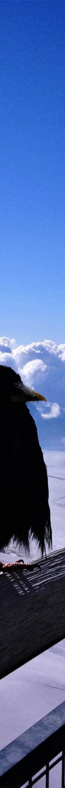 斯芬克斯天文台-劳特布龙嫩