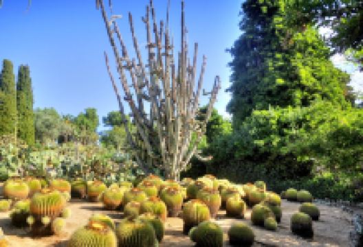 Jardí Botànic Tropical Paratge Pinya de Rosa景点图片