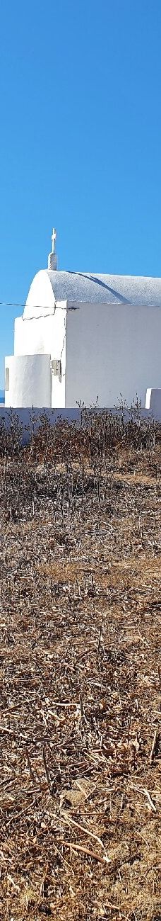 Cedar Forest of Alyko-纳克索斯