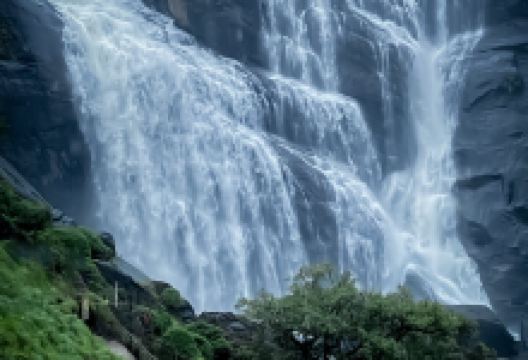 Mallalli Falls景点图片