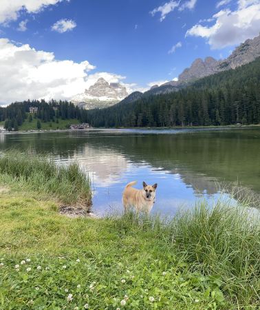 4D3N • Italy + Dolomites + Tre Cime di Lavaredo + Lago di Braies + Alpe di Siusi + Seceda + Lago di Carezza + Encounter with the Dolomites and lakes reflect the peaks
