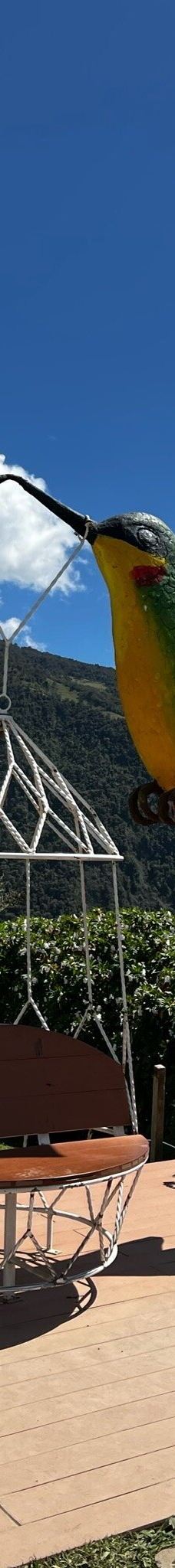 La Casa del Arbol-巴尼奥斯县