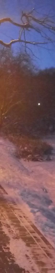 Komsomol'skiy Park-图拉