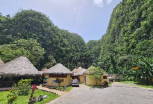 Palenque de los Cimarrones景点图片