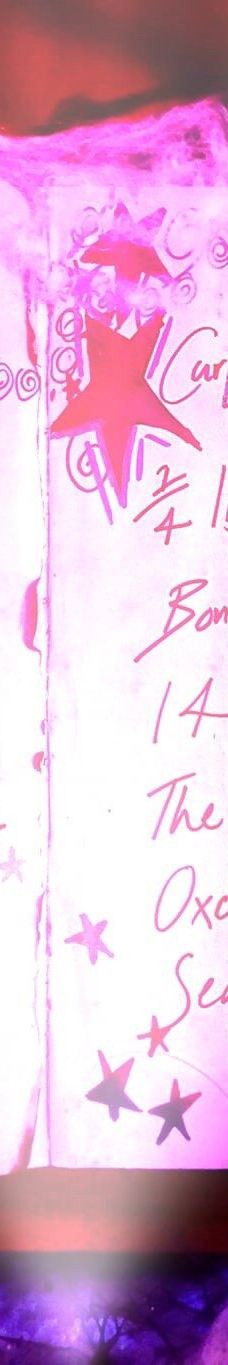 Tatton Park Country Park-纳茨福德