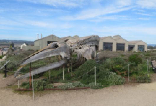 Seymour Marine Discovery Center景点图片