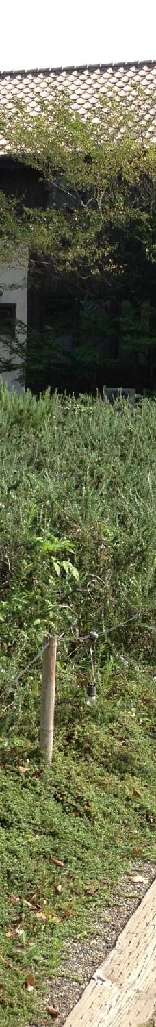 大神ファーム-日出町