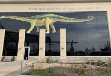 Virginia Museum of Natural History景点图片