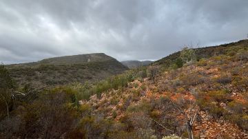 Mount Remarkable National Park