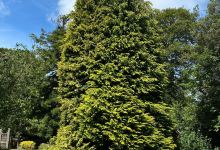 Rylstone Gardens景点图片