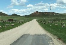 Dry Creek Petrified Forest景点图片