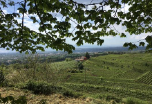 Azienda Vinicola Barone di Villagrande e Cantine景点图片
