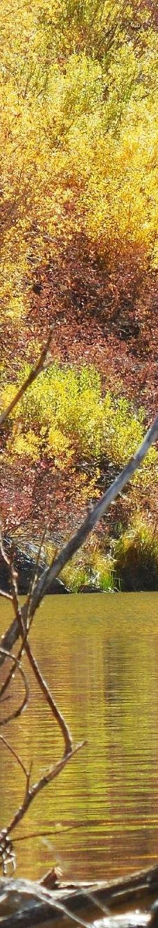 Lundy Lake-莫诺县