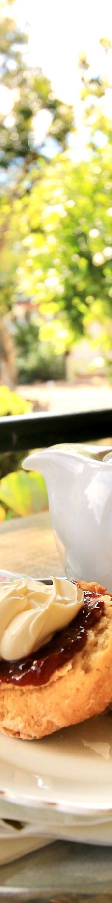 The Katherine Museum-凯瑟琳