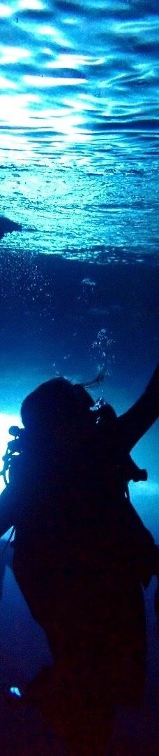 Makena Landing Park-茂宜县