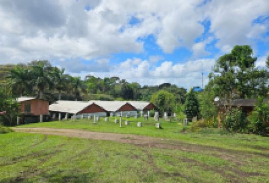 Fazenda Yrere景点图片