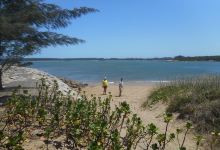 Pelican Island景点图片