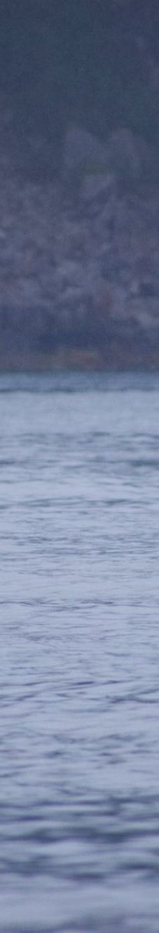 Seward Ocean Excursions-西沃德